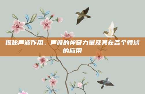 揭秘聲波作用，聲波的神奇力量及其在各個(gè)領(lǐng)域的應(yīng)用