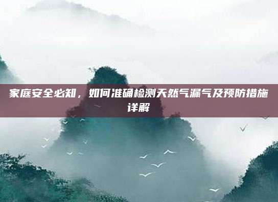 家庭安全必知，如何準(zhǔn)確檢測天然氣漏氣及預(yù)防措施詳解