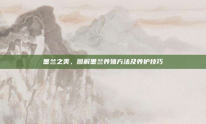 墨蘭之美，圖解墨蘭養(yǎng)殖方法及養(yǎng)護(hù)技巧