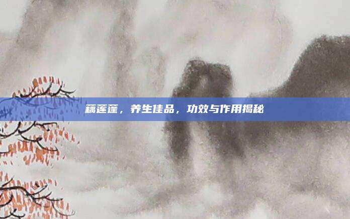 藕蓮蓬,，養(yǎng)生佳品，功效與作用揭秘