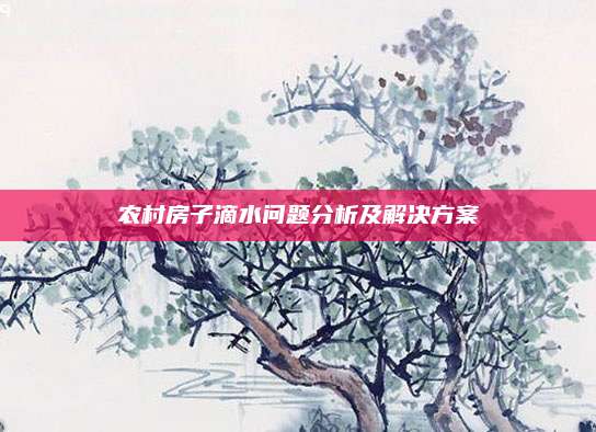農(nóng)村房子滴水問題分析及解決方案