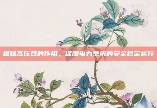 揭秘高壓包的作用,，保障電力系統(tǒng)的安全穩(wěn)定運行