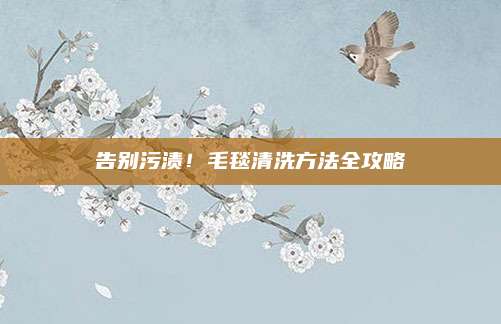告別污漬,！毛毯清洗方法全攻略