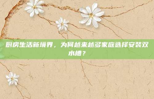 廚房生活新境界,，為何越來越多家庭選擇安裝雙水槽,？