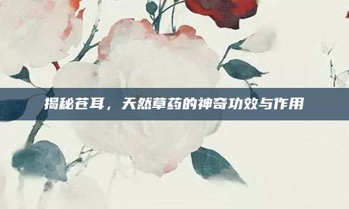 揭秘蒼耳，天然草藥的神奇功效與作用