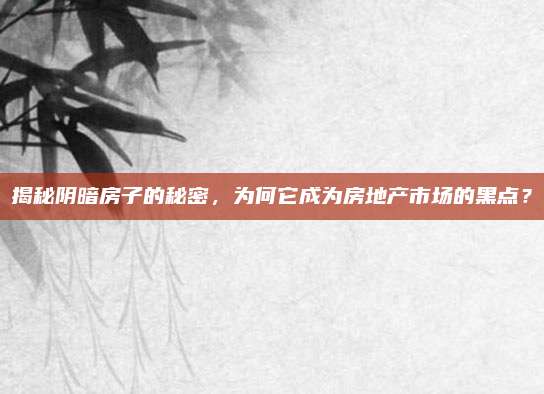 揭秘陰暗房子的秘密,，為何它成為房地產(chǎn)市場的黑點(diǎn)？
