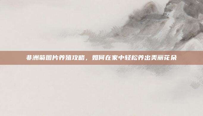 非洲菊?qǐng)D片養(yǎng)殖攻略,，如何在家中輕松養(yǎng)出美麗花朵