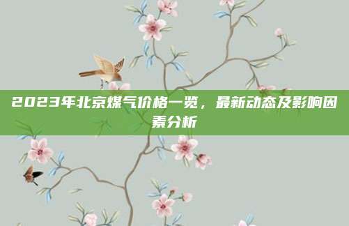 2023年北京煤氣價(jià)格一覽,，最新動(dòng)態(tài)及影響因素分析