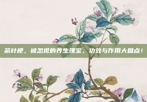 茶葉梗,，被忽視的養(yǎng)生瑰寶，功效與作用大盤點,！