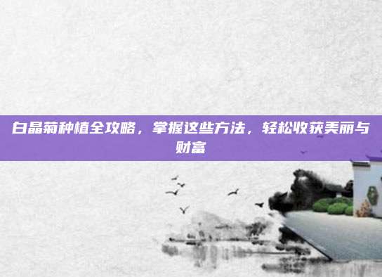 白晶菊種植全攻略,，掌握這些方法，輕松收獲美麗與財(cái)富