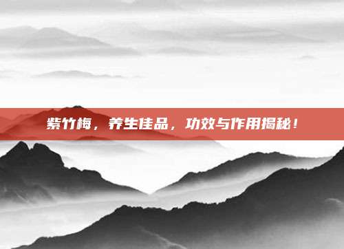 紫竹梅,，養(yǎng)生佳品，功效與作用揭秘,！