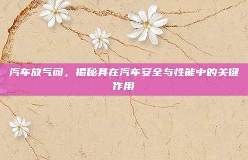 汽車放氣閥,，揭秘其在汽車安全與性能中的關(guān)鍵作用