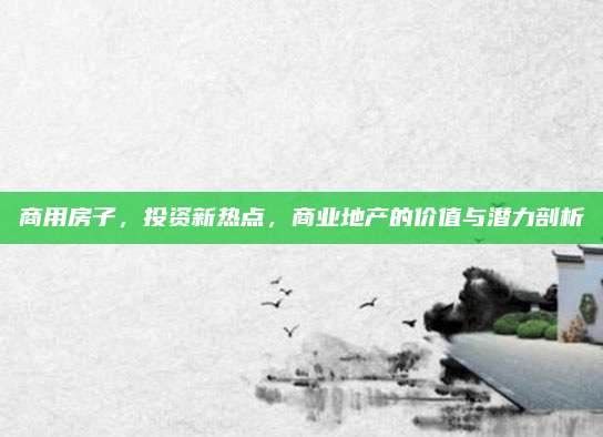 商用房子,，投資新熱點(diǎn),，商業(yè)地產(chǎn)的價(jià)值與潛力剖析