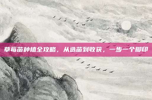 草莓苗種植全攻略，從選苗到收獲，一步一個(gè)腳印