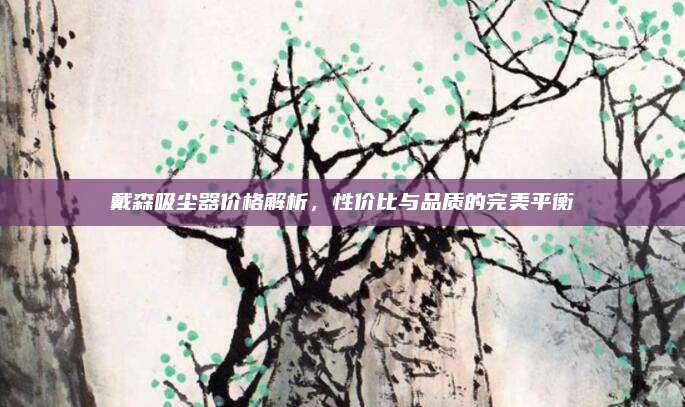 戴森吸塵器價(jià)格解析,，性價(jià)比與品質(zhì)的完美平衡