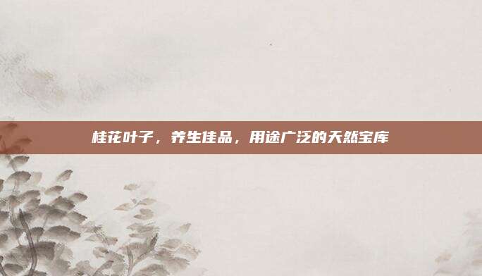桂花葉子，養(yǎng)生佳品,，用途廣泛的天然寶庫(kù)