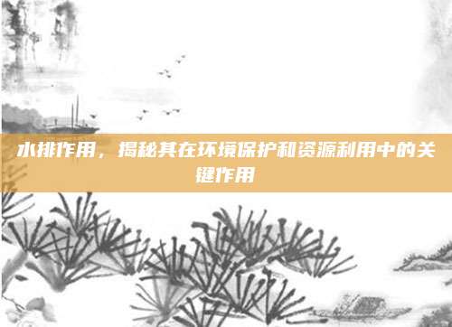 水排作用,，揭秘其在環(huán)境保護(hù)和資源利用中的關(guān)鍵作用