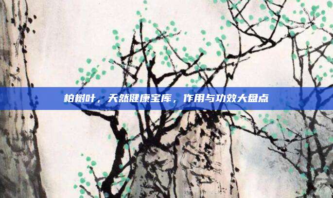 柏樹葉,，天然健康寶庫,，作用與功效大盤點