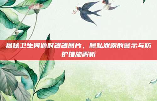 揭秘衛(wèi)生間偷射罩罩圖片,，隱私泄露的警示與防護措施解析
