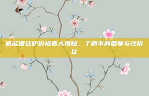 威能壁掛爐價(jià)格表大揭秘，了解不同型號(hào)與性?xún)r(jià)比