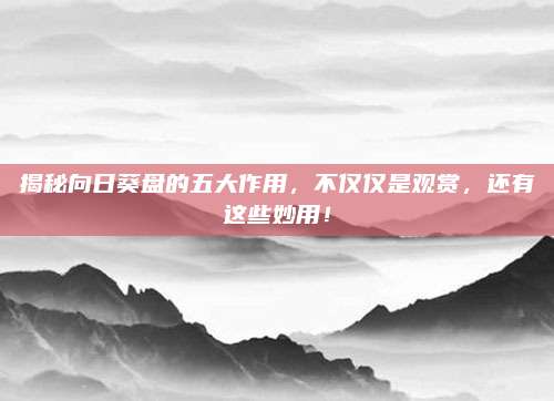 揭秘向日葵盤(pán)的五大作用,，不僅僅是觀賞,，還有這些妙用,！