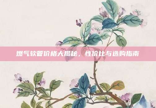 燃?xì)廛浌軆r格大揭秘，性價比與選購指南