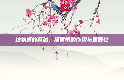 植物根的奧秘,，探索根的作用與重要性