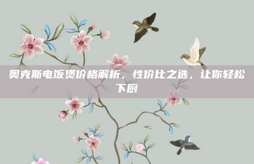 奧克斯電飯煲價格解析,，性價比之選，讓你輕松下廚