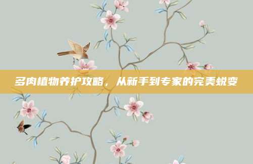 多肉植物養(yǎng)護(hù)攻略,，從新手到專家的完美蛻變