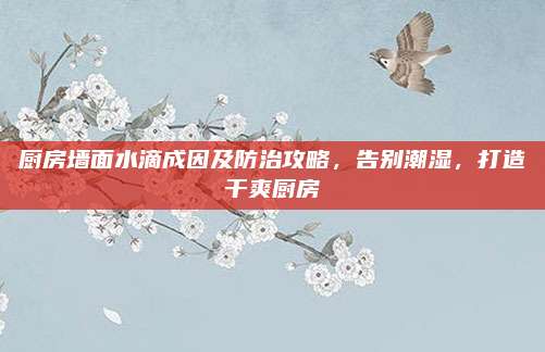 廚房墻面水滴成因及防治攻略,，告別潮濕，打造干爽廚房