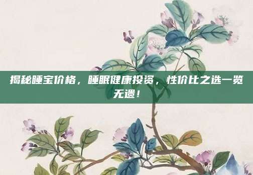 揭秘睡寶價格，睡眠健康投資,，性價比之選一覽無遺,！