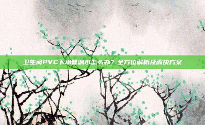 衛(wèi)生間PVC下水管漏水怎么辦,？全方位解析及解決方案
