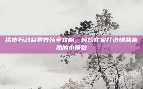 鐵皮石斛盆景養(yǎng)殖全攻略，輕松在家打造綠意盎然的小景致
