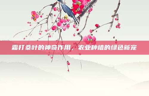 霜打桑葉的神奇作用，農(nóng)業(yè)種植的綠色新寵