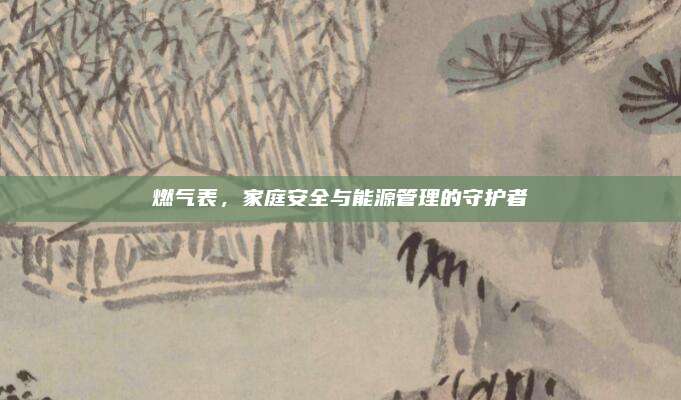 燃?xì)獗?，家庭安全與能源管理的守護(hù)者