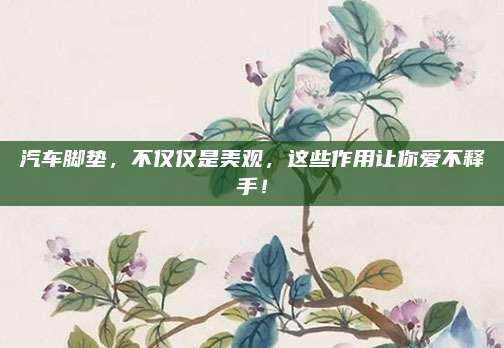 汽車腳墊，不僅僅是美觀,，這些作用讓你愛不釋手,！