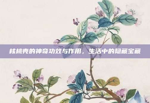 核桃殼的神奇功效與作用，生活中的隱藏寶藏