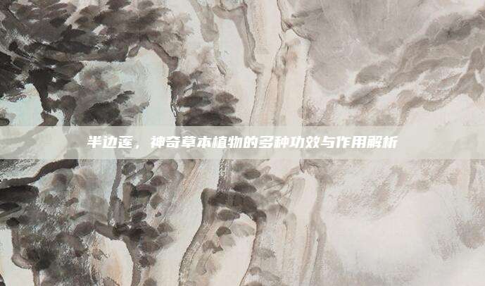 半邊蓮,，神奇草本植物的多種功效與作用解析