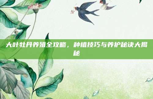 大葉牡丹養(yǎng)殖全攻略,，種植技巧與養(yǎng)護(hù)秘訣大揭秘