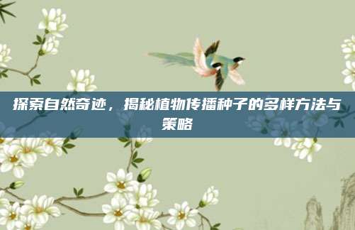 探索自然奇跡,，揭秘植物傳播種子的多樣方法與策略