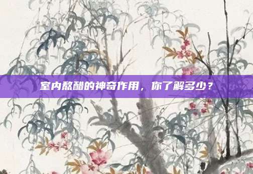 室內(nèi)熬醋的神奇作用,，你了解多少,？