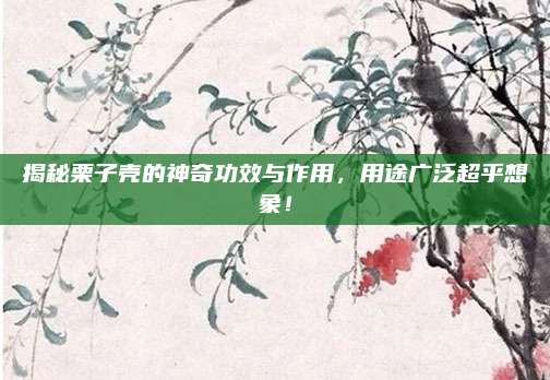 揭秘栗子殼的神奇功效與作用，用途廣泛超乎想象！