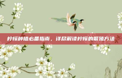 檸檬種植必備指南,，詳盡解讀檸檬的繁殖方法