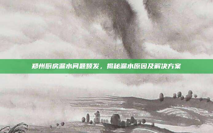 鄭州廚房漏水問題頻發(fā),，揭秘漏水原因及解決方案