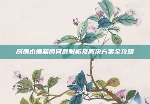 廚房水槽漏網(wǎng)問題解析及解決方案全攻略