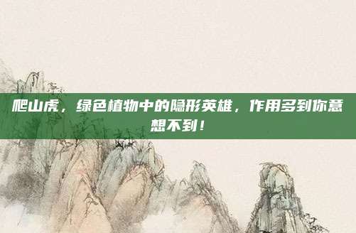 爬山虎,，綠色植物中的隱形英雄，作用多到你意想不到,！