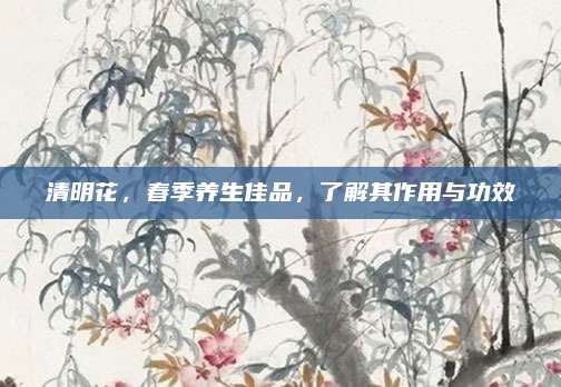 清明花，春季養(yǎng)生佳品,，了解其作用與功效