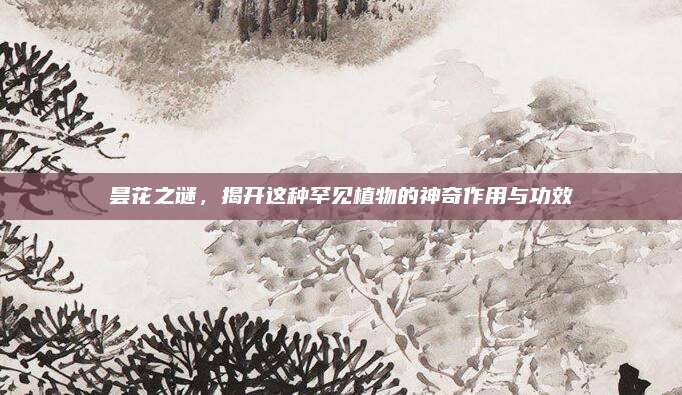 曇花之謎,，揭開這種罕見植物的神奇作用與功效