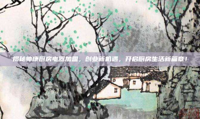揭秘帥康廚房電器加盟,，創(chuàng)業(yè)新機遇，開啟廚房生活新篇章,！