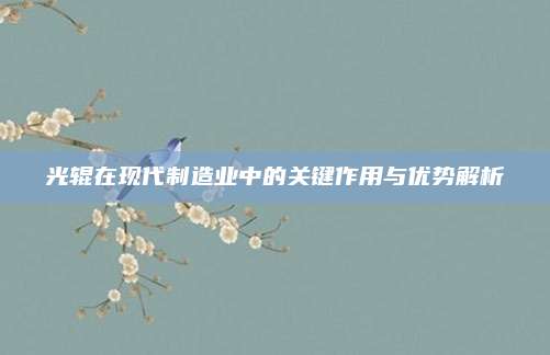 光輥在現(xiàn)代制造業(yè)中的關(guān)鍵作用與優(yōu)勢解析